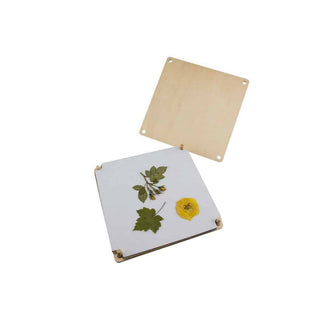 Avantgarde | Blumenpresse Holz für Blumen Blätter und Kräuter - Racher