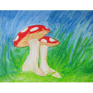 Creall | Silky Malstifte 3-in-1 Funktion Wachsmalstift 12-Set Bruchsicher & vielseitig - Racher