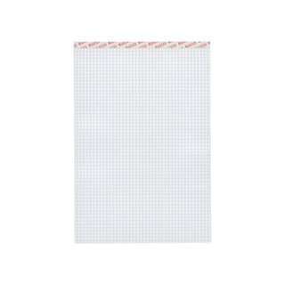 Elco | Notizblock ohne Deckblatt A4 5mm kariert 70g/m2 - Racher