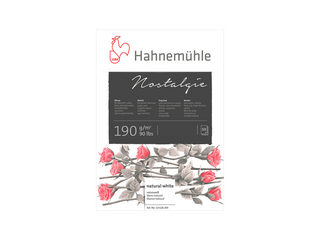 Hahnemühle | Nostalgie Zeichenpapier Künstlerpapier für präzise Linien & feine Schraffuren - Racher