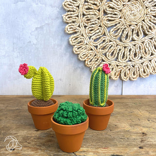 Hardicraft | Cacti Häkel-Set DIY Kakteen aus Baumwolle - Racher