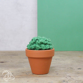 Hardicraft | Cacti Häkel-Set DIY Kakteen aus Baumwolle - Racher
