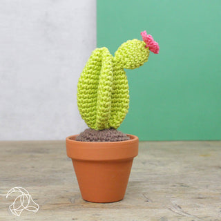 Hardicraft | Cacti Häkel-Set DIY Kakteen aus Baumwolle - Racher