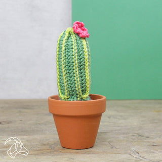 Hardicraft | Cacti Häkel-Set DIY Kakteen aus Baumwolle - Racher