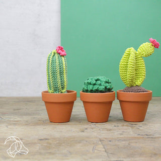 Hardicraft | Cacti Häkel-Set DIY Kakteen aus Baumwolle - Racher