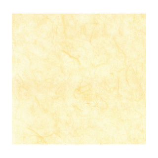 Marpa Jansen | Faserseide - Naturpapier aus Maulbeerbaumfasern 25g/m2 - Racher