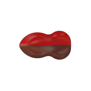 Schmincke | AERO COLOR Professional Airbrush Farbe 250ml - Racher