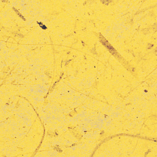 Marpa Jansen | Bananenpapier Natur-Bastelpapier aus Maulbeerbaumfasern 35 g/m² säurefrei alterungsbeständig