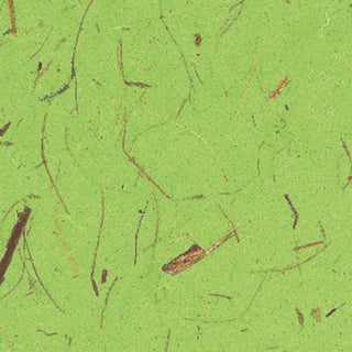 Marpa Jansen | Bananenpapier Natur-Bastelpapier aus Maulbeerbaumfasern 35 g/m² säurefrei alterungsbeständig
