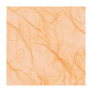 Marpa Jansen | Faserseide - Naturpapier aus Maulbeerbaumfasern 25g/m2