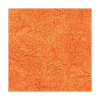 Marpa Jansen | Faserseide - Naturpapier aus Maulbeerbaumfasern 25g/m2