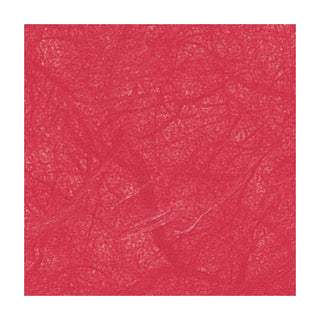 Marpa Jansen | Faserseide - Naturpapier aus Maulbeerbaumfasern 25g/m2